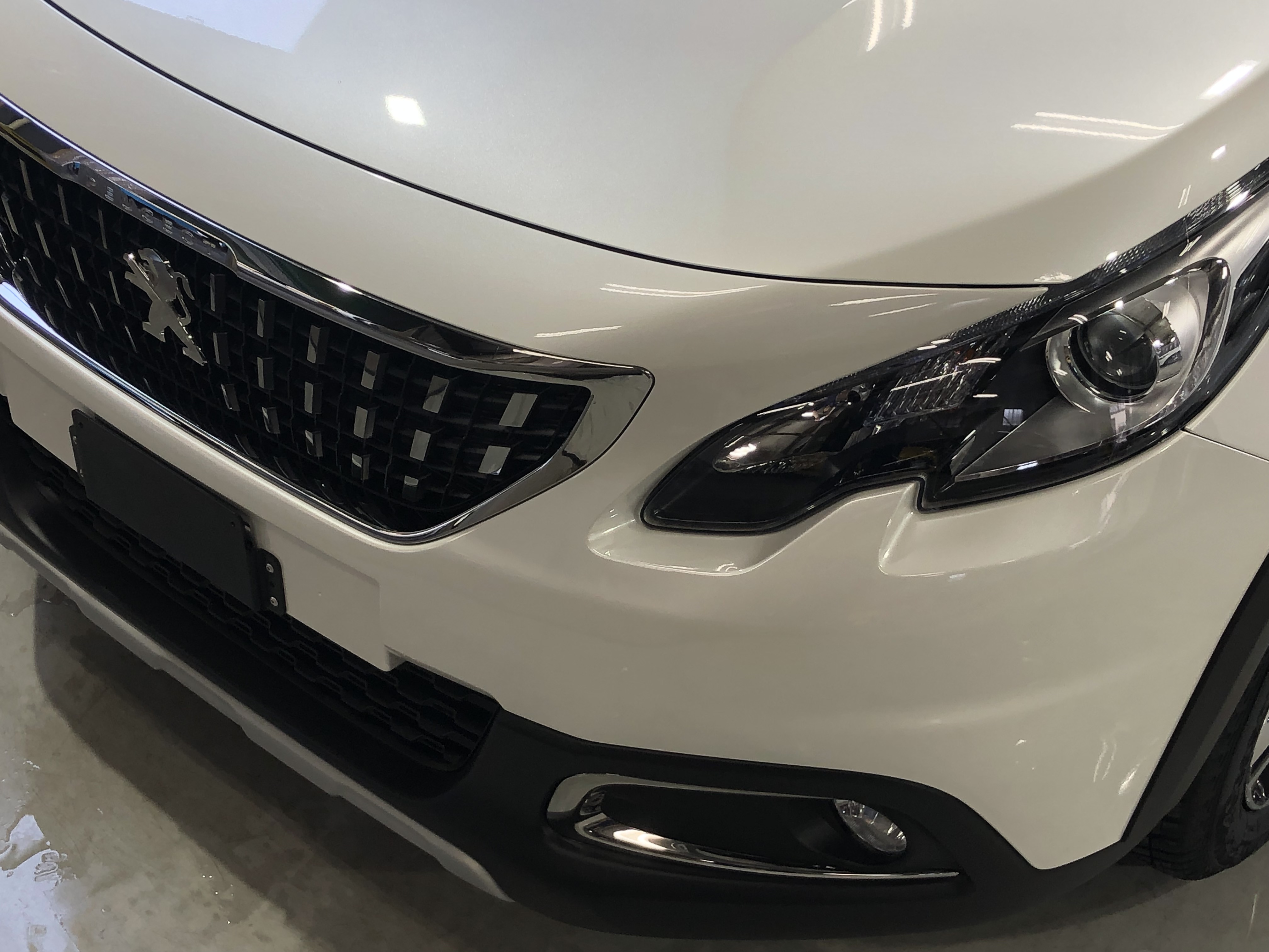 新車ボディーコーティングの様子 08 プジョー熊本 スタッフブログ ポルシェ プジョー シトロエン 正規ディーラー アデル カーズ株式会社 熊本