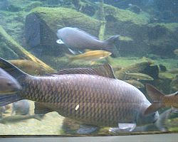 「水族館へ行こう」
