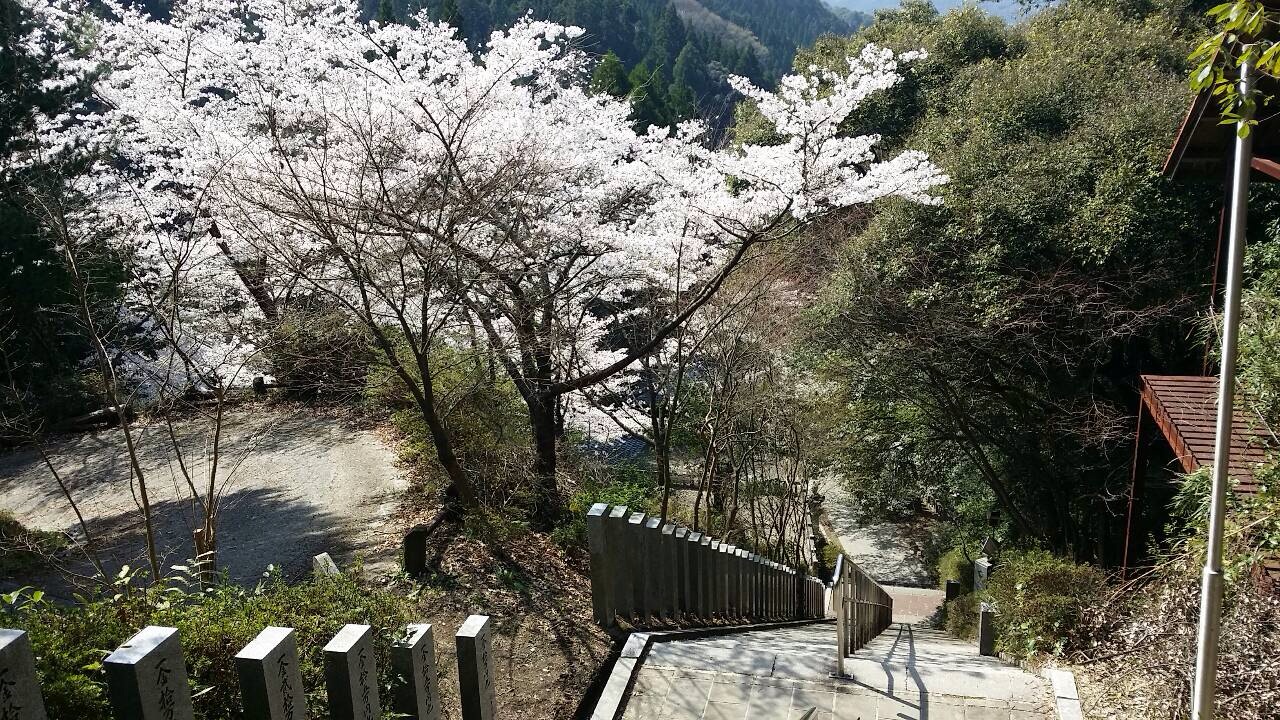 春ー♪