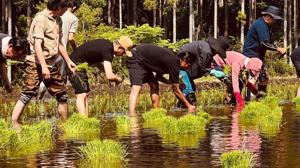 みんなで田植えしてきました🧤😃