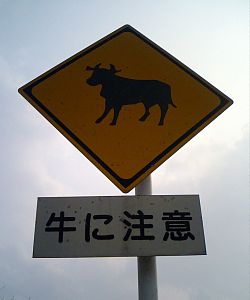 「道路交通法改正」