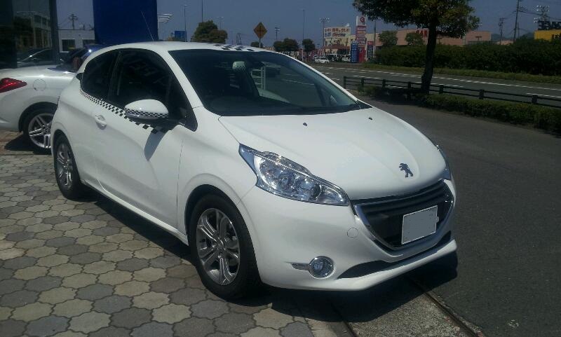 期待のルーキー