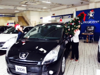 ショールーム飾り付け