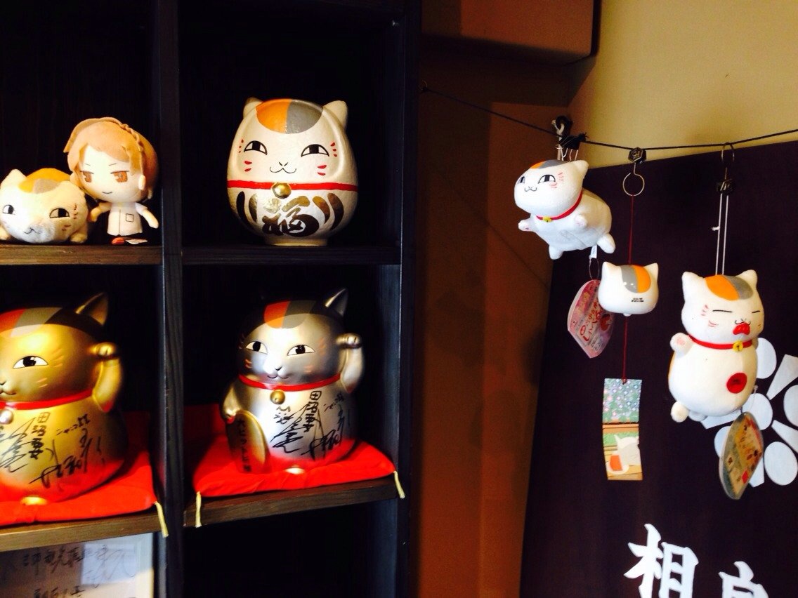 にゃんこ先生と紅葉狩り♪