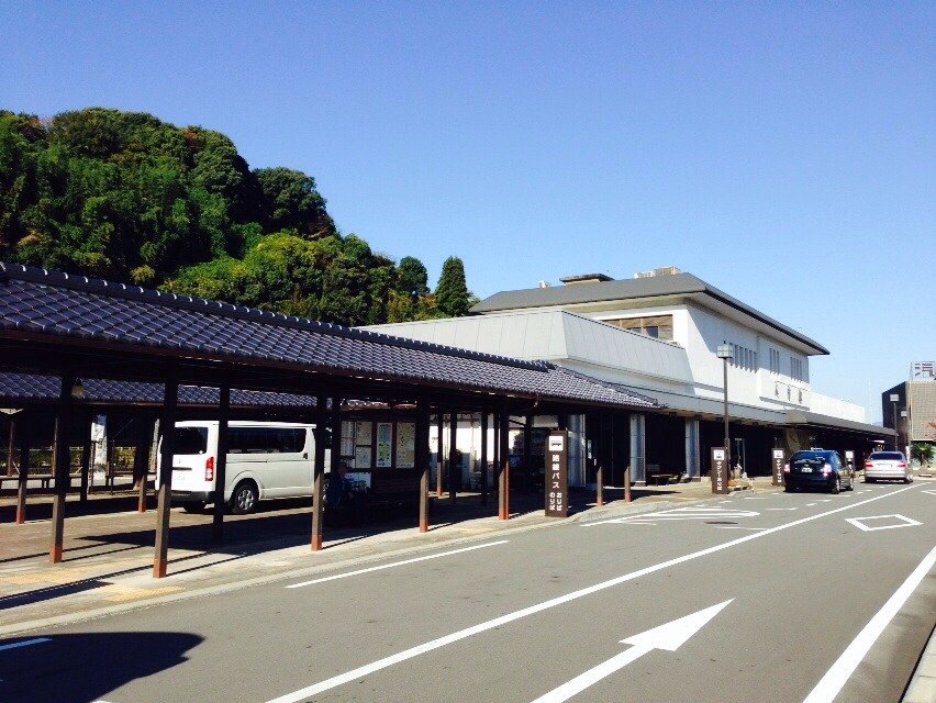 にゃんこ先生と紅葉狩り♪