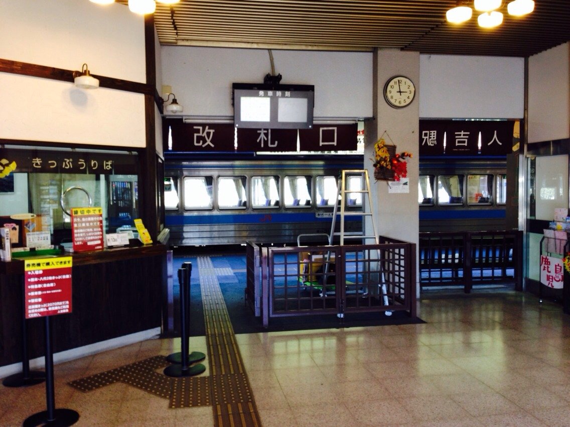 にゃんこ先生と紅葉狩り♪