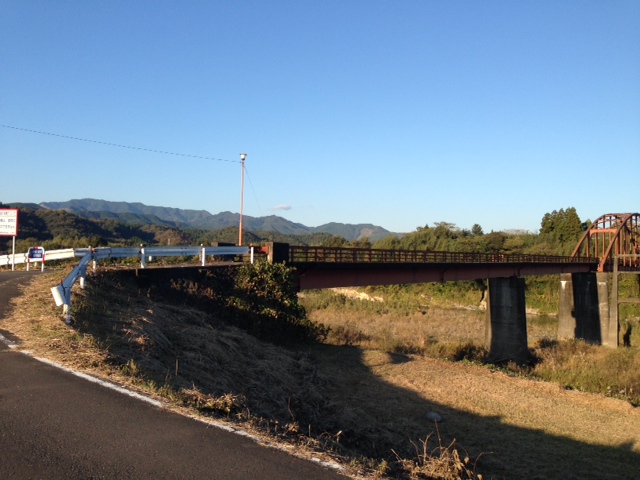にゃんこ先生と紅葉狩り♪