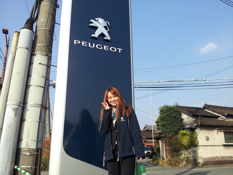 新ショールーム完成間近