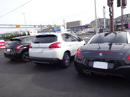 newバージョン！！