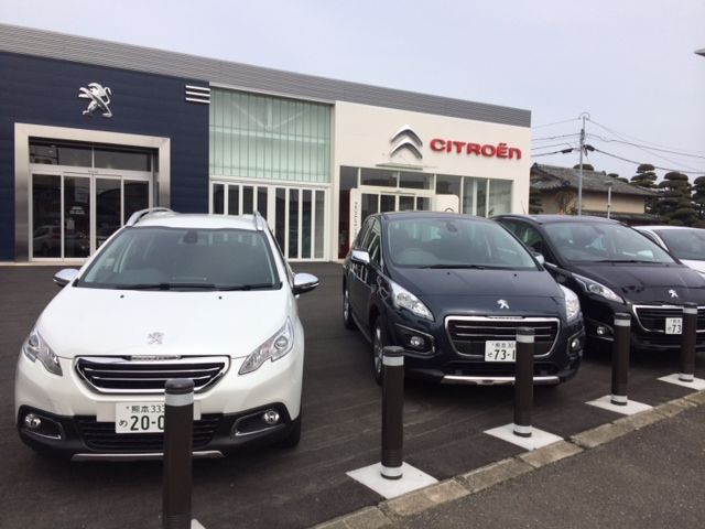 ＮＥＷ　ＣＲＯＳＳＯＶＥＲ　ＦＡＩＲ