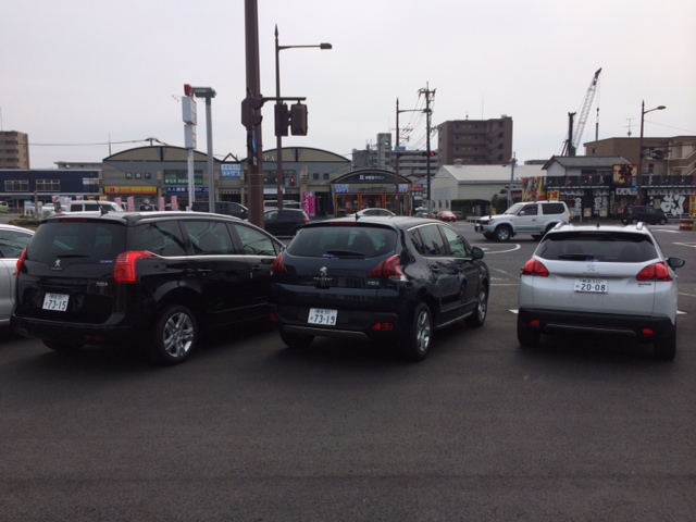 ＮＥＷ　ＣＲＯＳＳＯＶＥＲ　ＦＡＩＲ