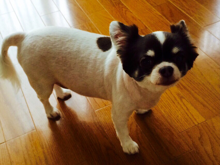 どしゃ降り・・・(*_*)