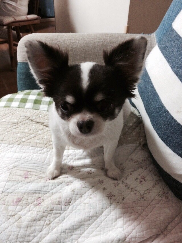 8月が終わりますよーっ!!