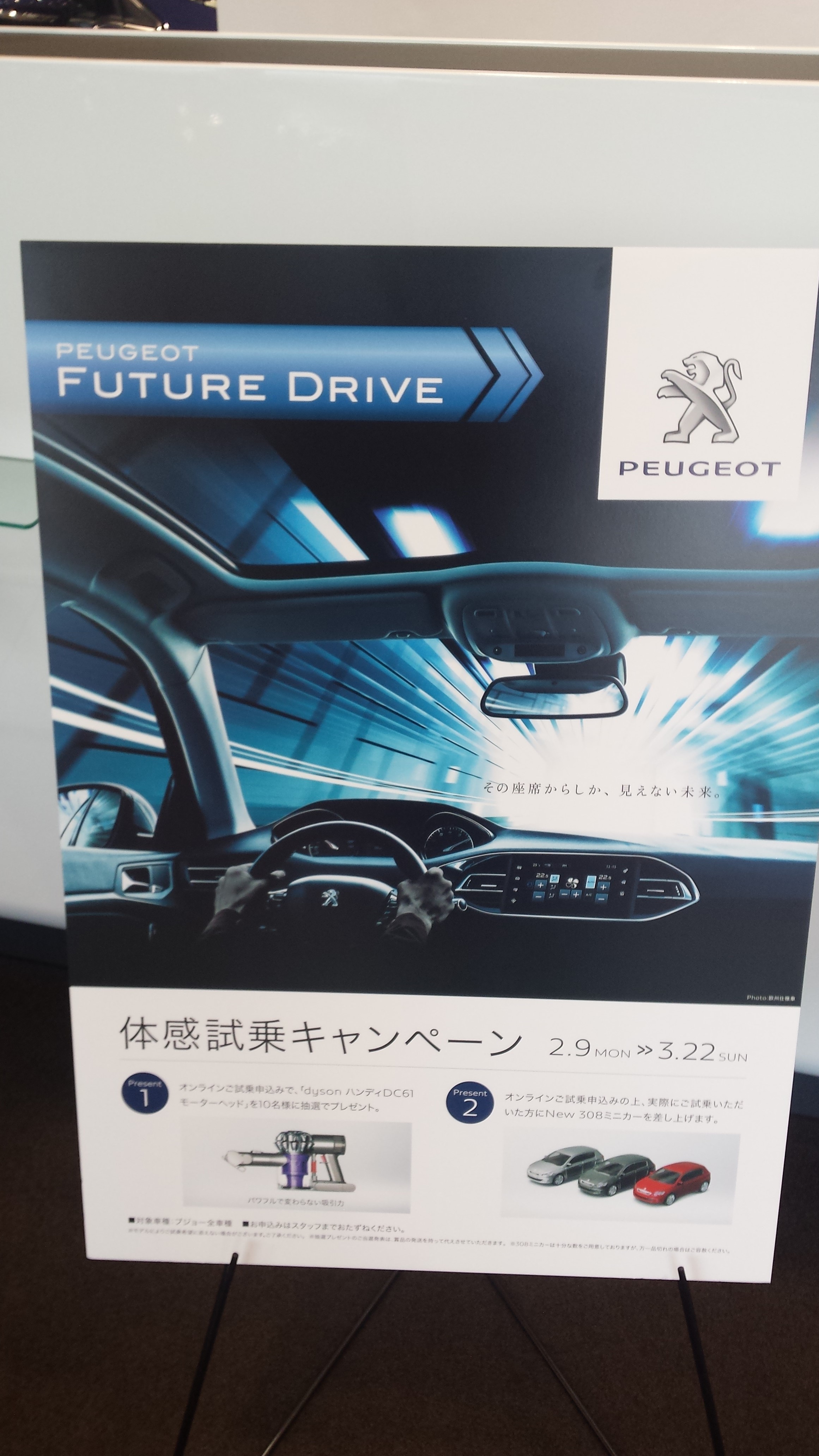 FUTURE DRIVE