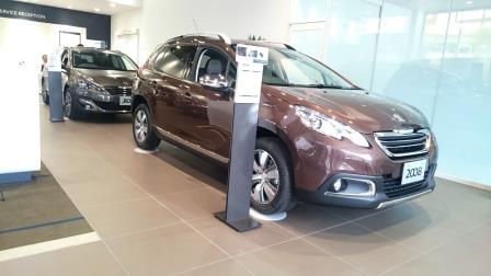 展示車入れ替えました。