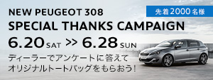 308 SPECIAL THANKS CAMPAIGN
