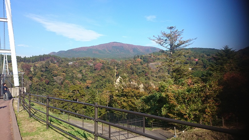 秋を探しに・・・