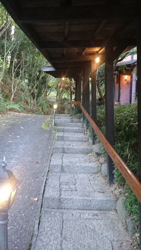 秋を探しに・・・