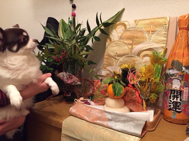 あけましておめでとうございます!!