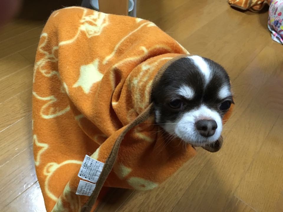 あけましておめでとうございます!!