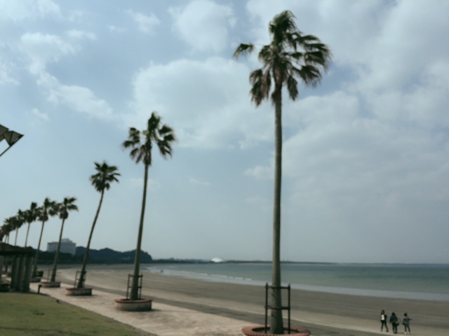 青島