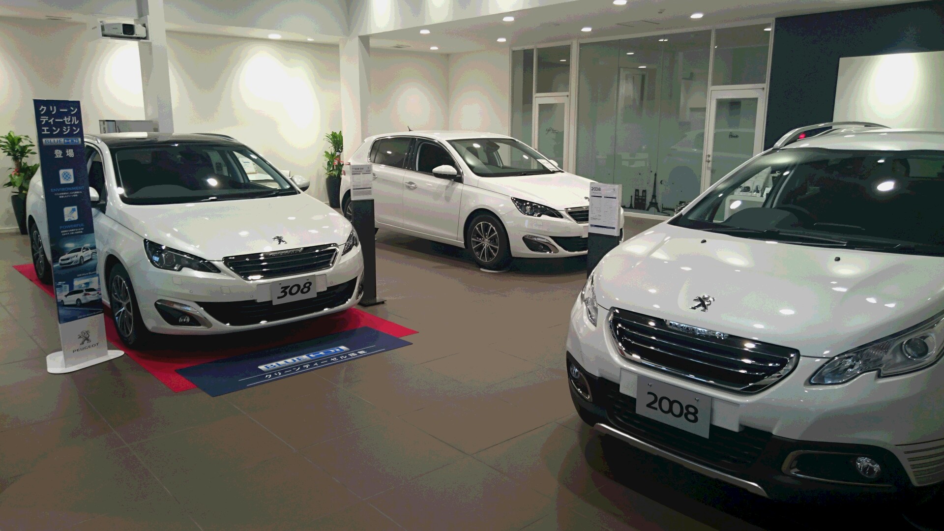 白、再び・・・・・