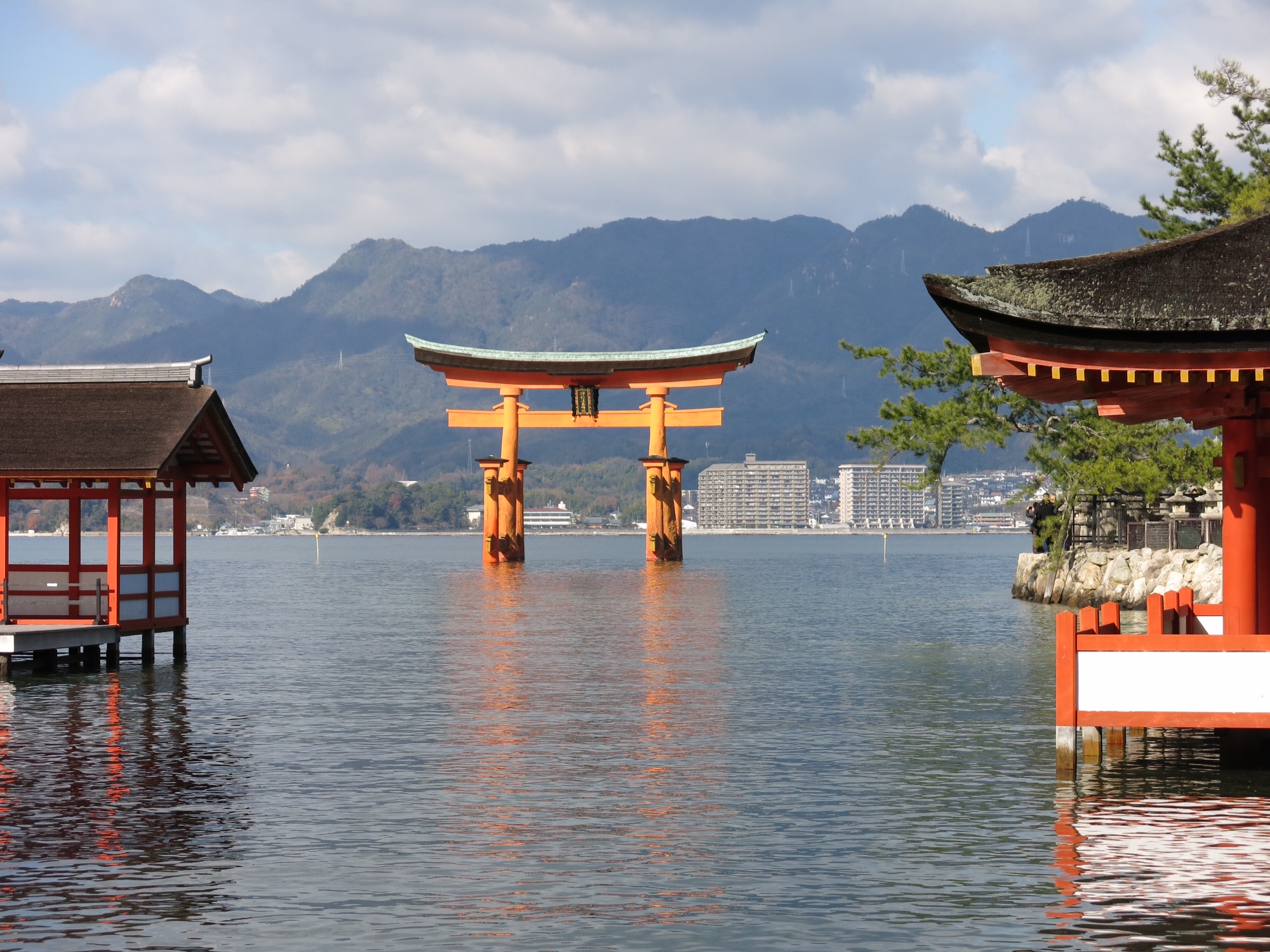 ２００８クロスシティで広島へ