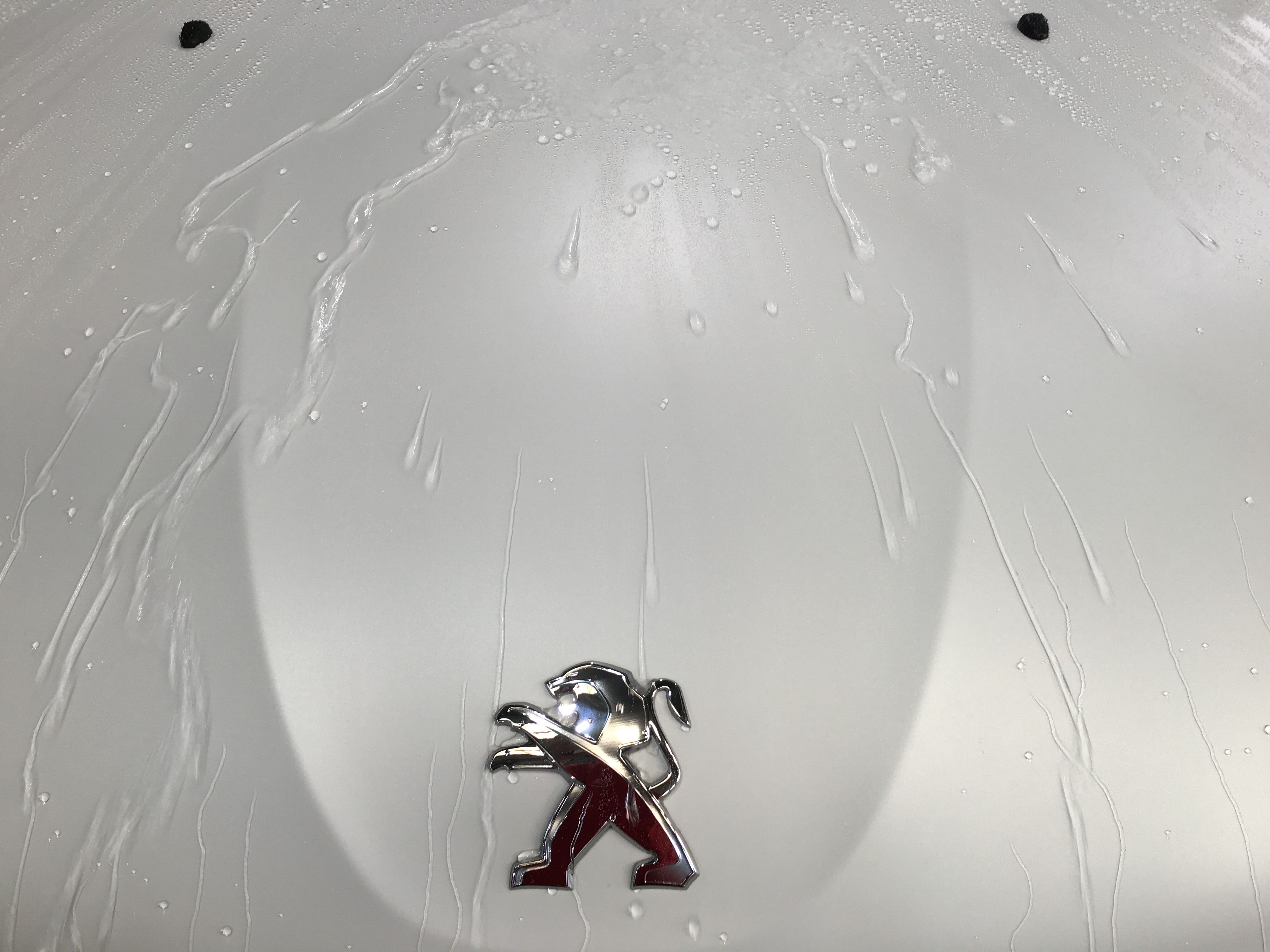 ボディコーティング施工の様子  プジョー２０８