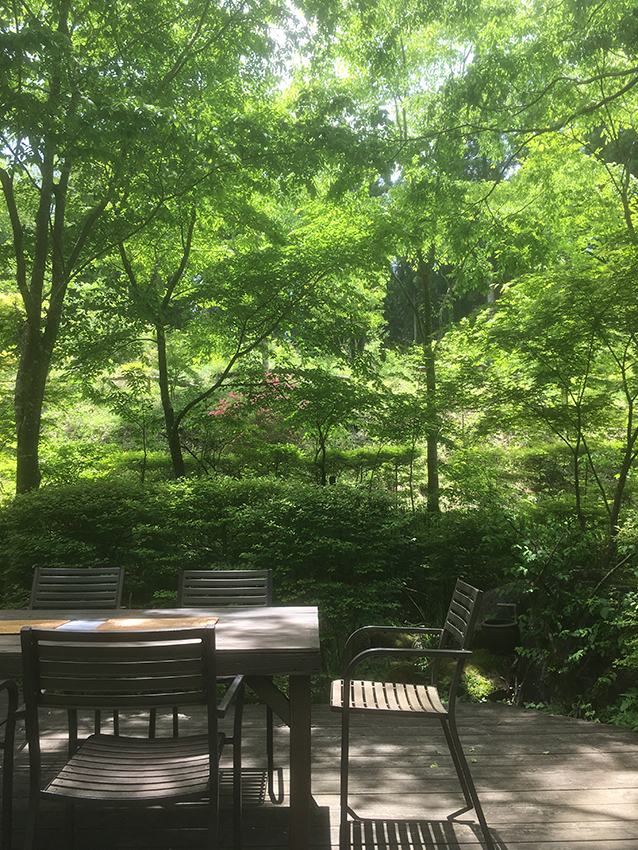 ララランチ♪