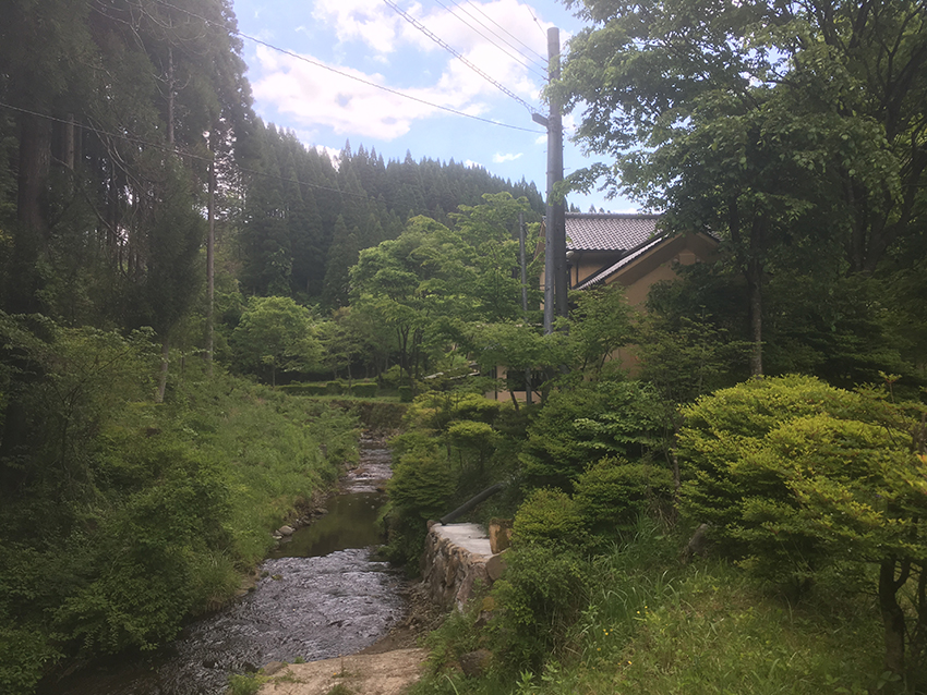ララランチ♪