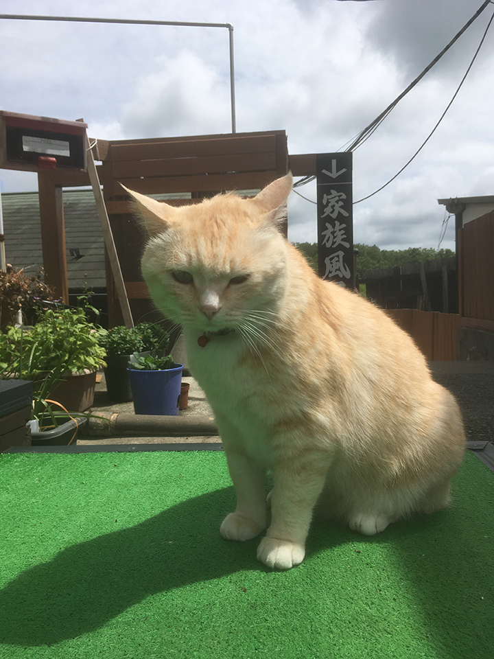 露天がキモチイイ季節です♪