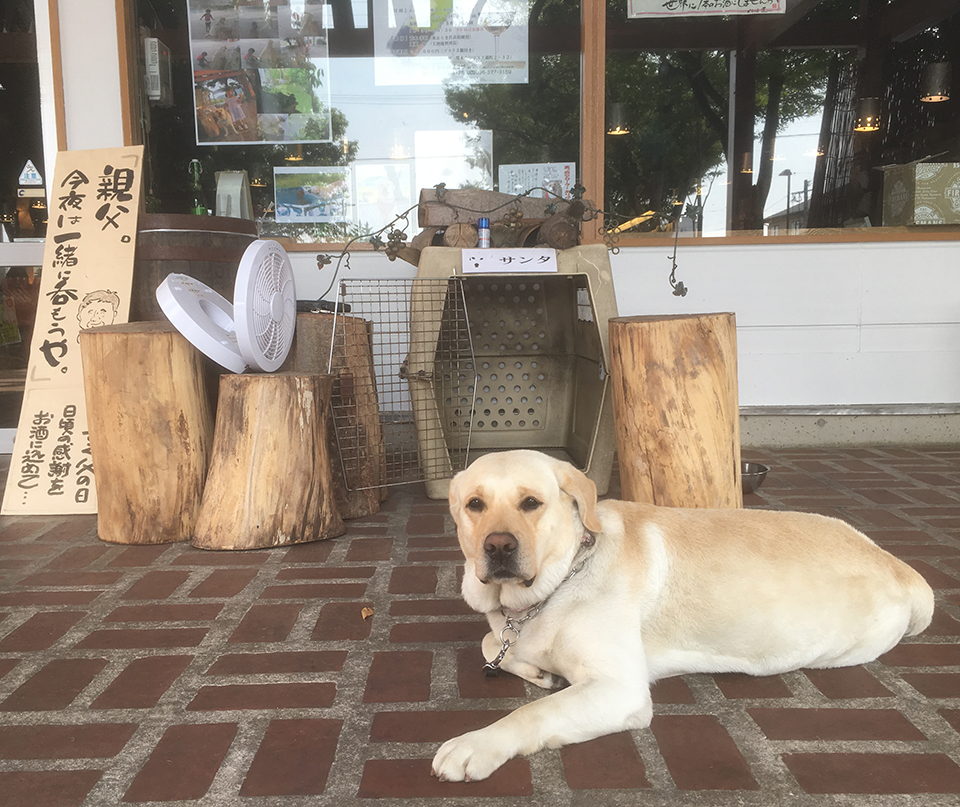 ララランチ♪