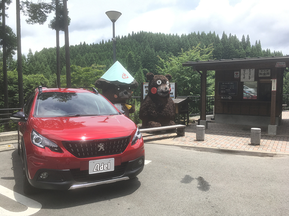 マイナスイオン吸収❤️