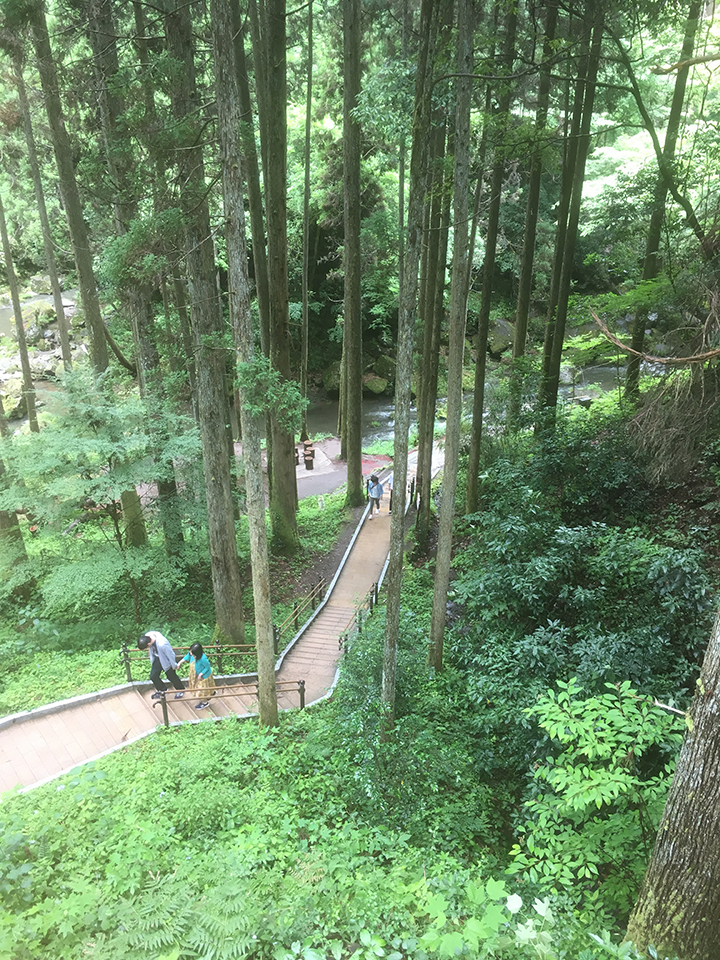 マイナスイオン吸収❤️