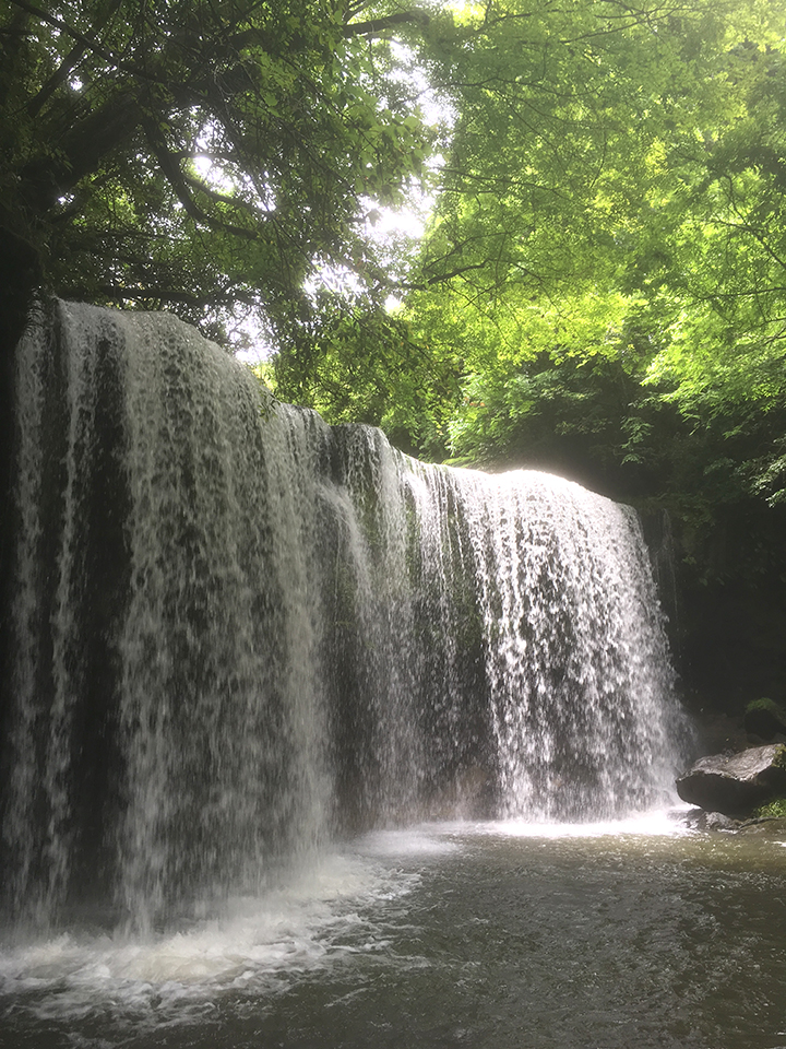 マイナスイオン吸収❤️