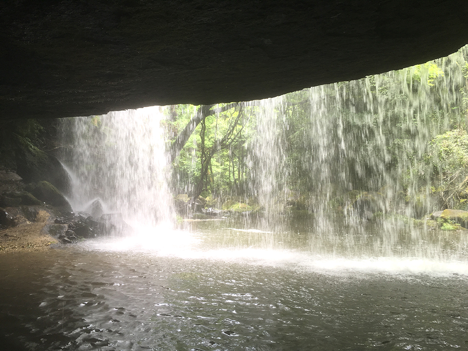 マイナスイオン吸収❤️