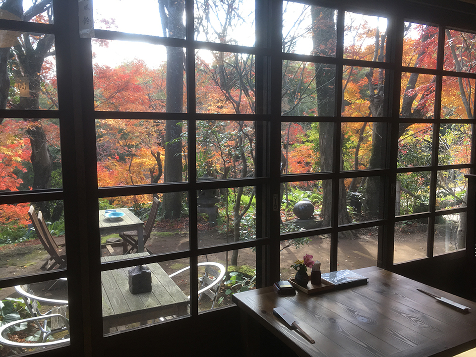 今だけ味わえる感動❤️