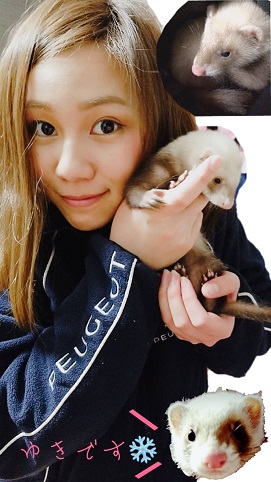 ペットのフェレットちゃん