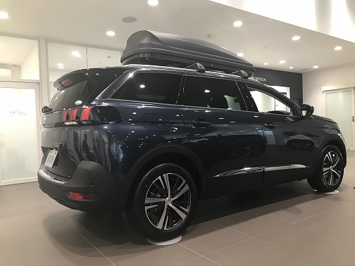 この夏ピッタリ!