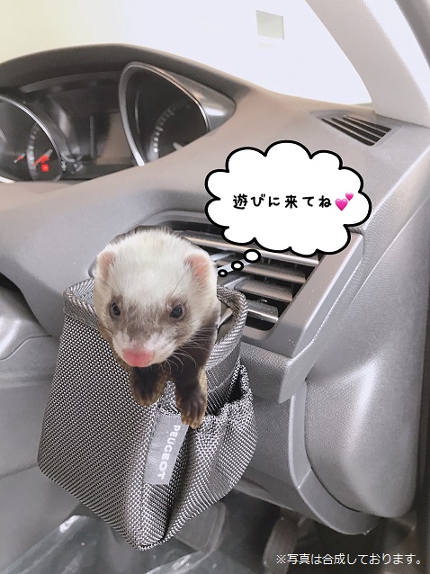 ショールームには、まだまだ沢山のグッズがあります!