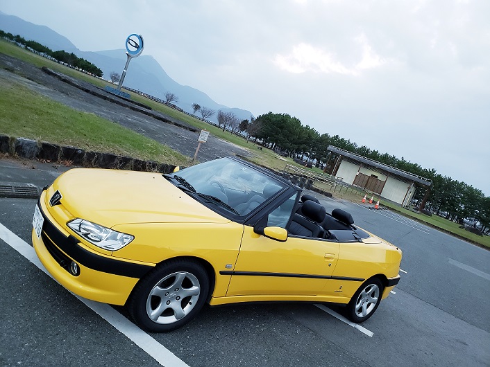 アデルコレクション