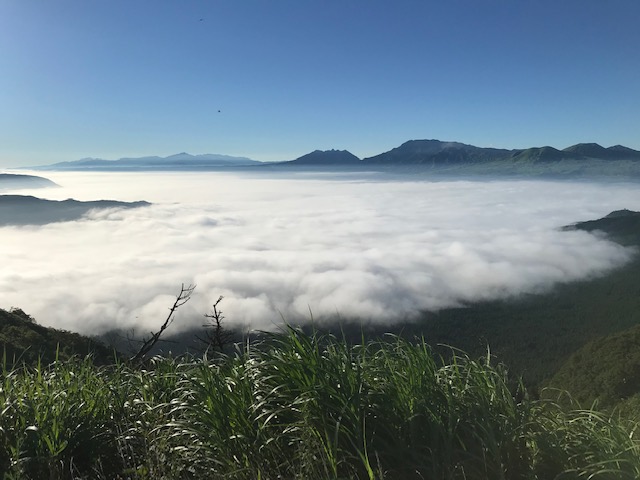 安定のドライビングスポット