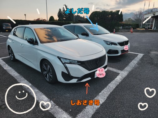 新　VS　旧308