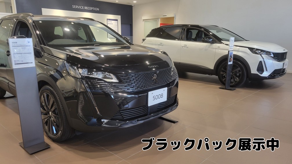 展示車を入れ替えました！