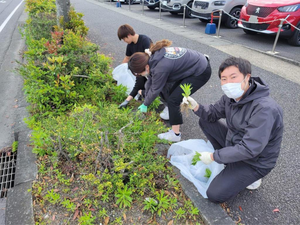 当社施設周辺の草むしりをしました🌿