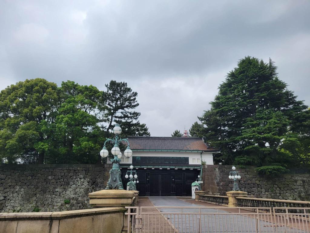 朝メッシからの