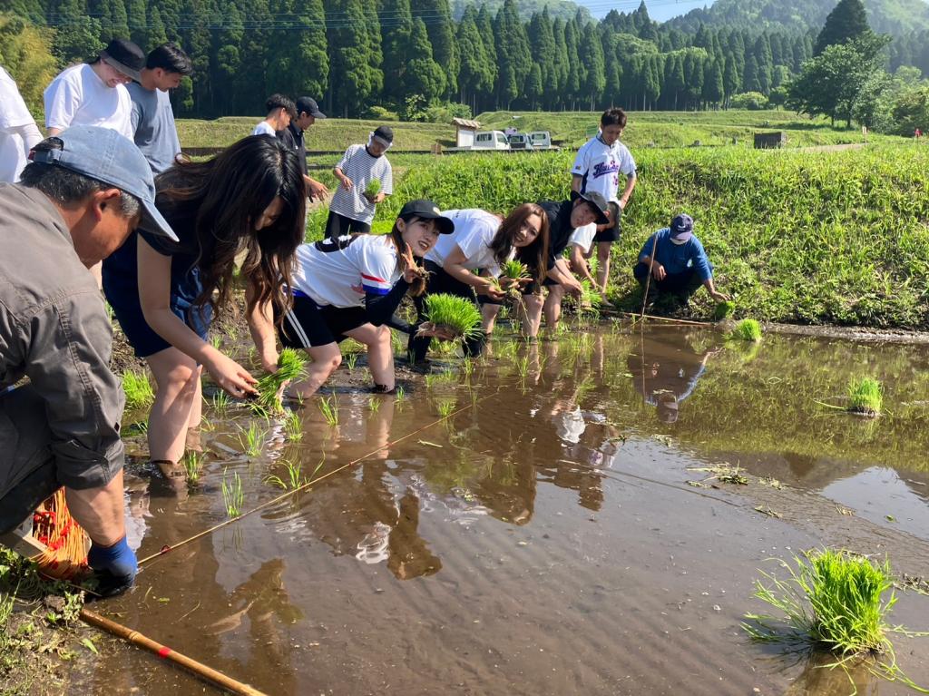 田植えでSDGs！！