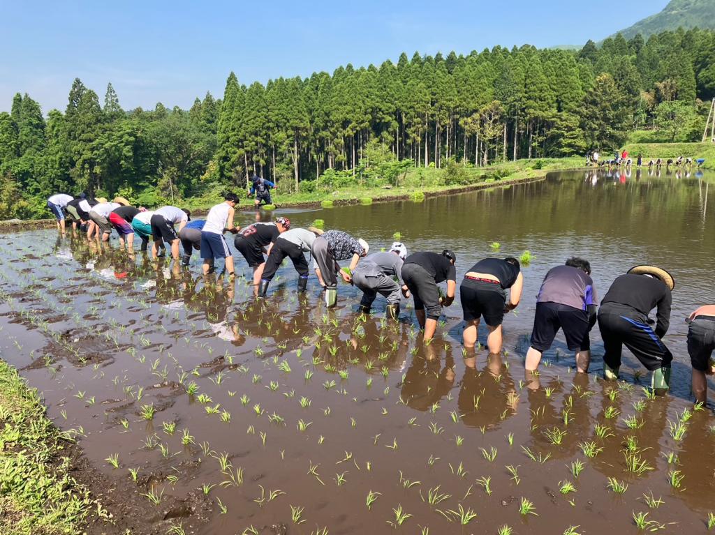 田植えでSDGs！！