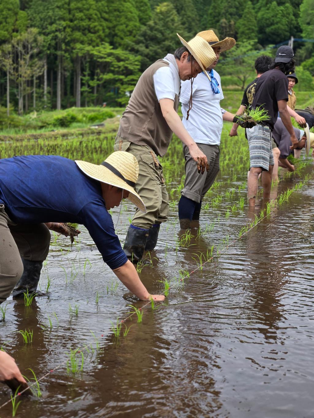 田植えでSDGs！