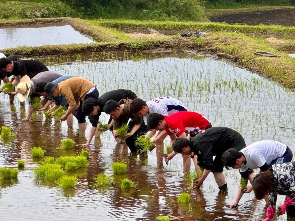 田植えでSDGs！